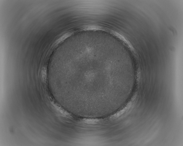 X0000110940825200906261259