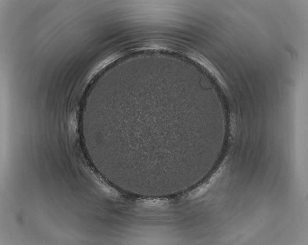 X0000110940826200906261259