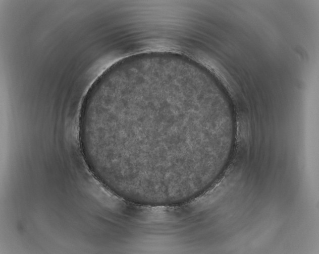 X0000110940828200906261259