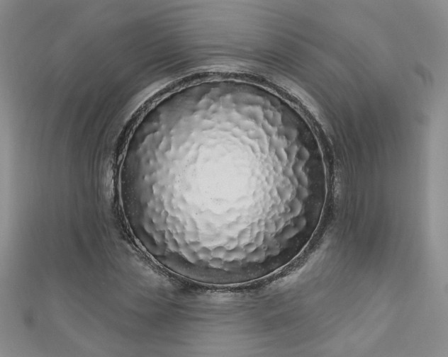 X0000110940829200906261259