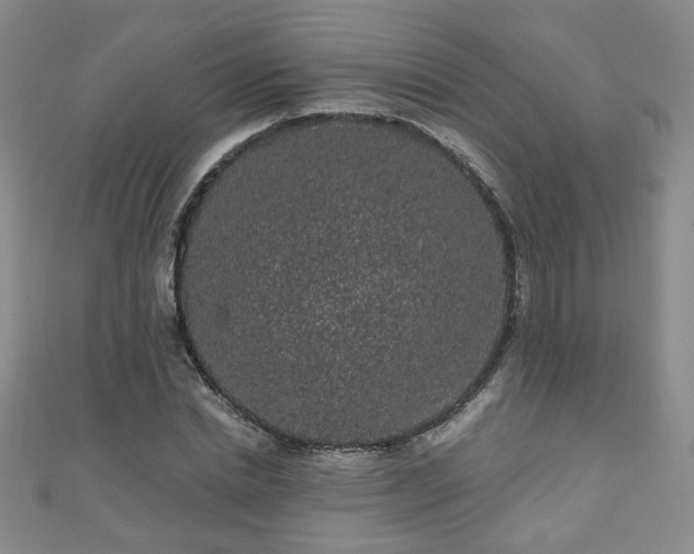 X0000110940830200906261259