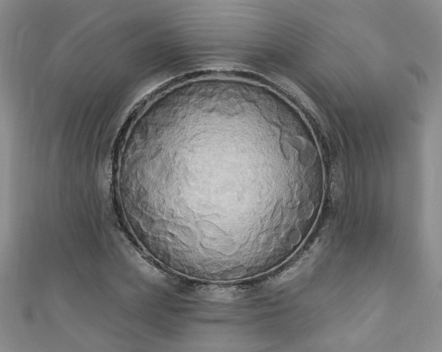 X0000110940831200906261259