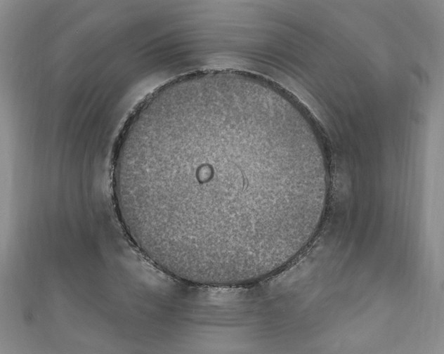 X0000110940832200906261259