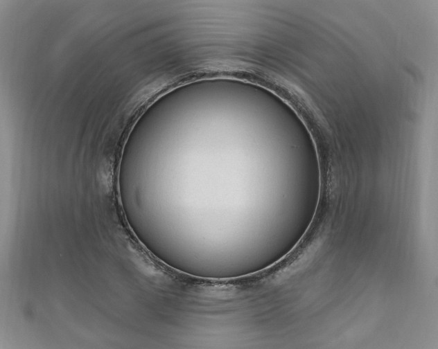 X0000110940833200906261259