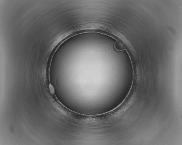 X0000110940834200906261259