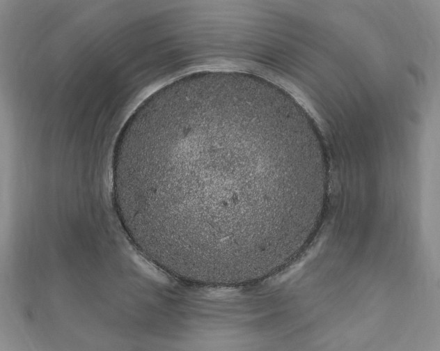 X0000110940837200906261259