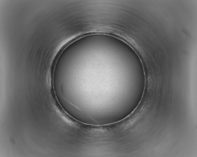 X0000110940838200906261259