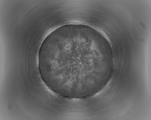 X0000110940839200906261259