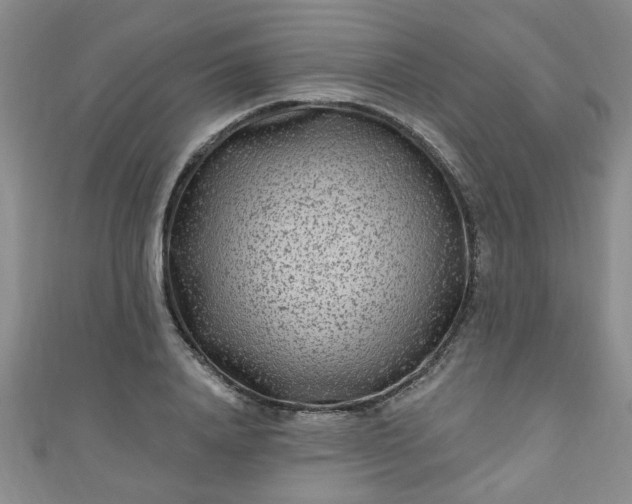 X0000110940840200906261259