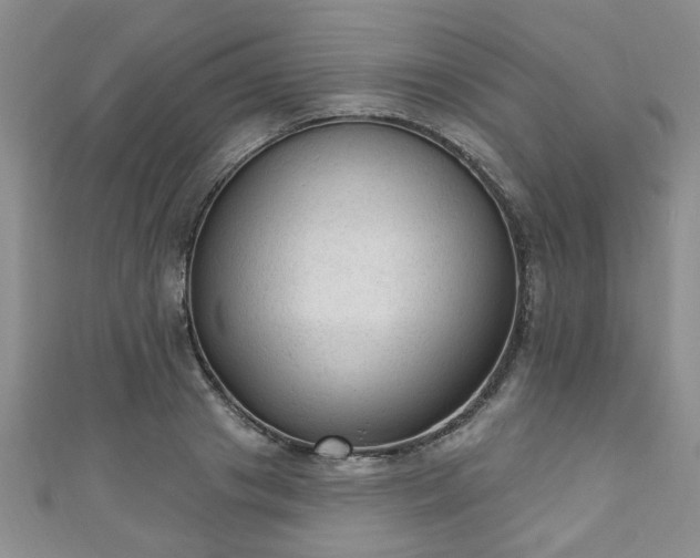 X0000110940841200906261259