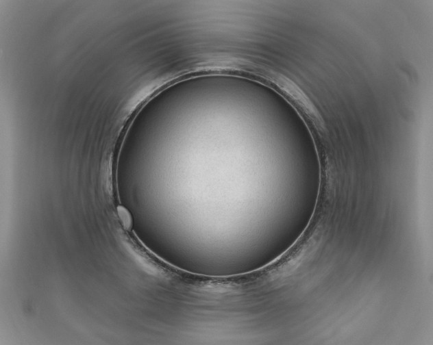 X0000110940842200906261259