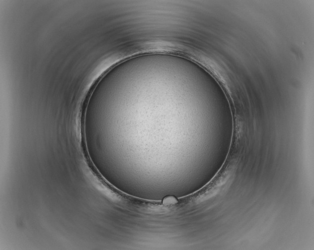 X0000110940843200906261259