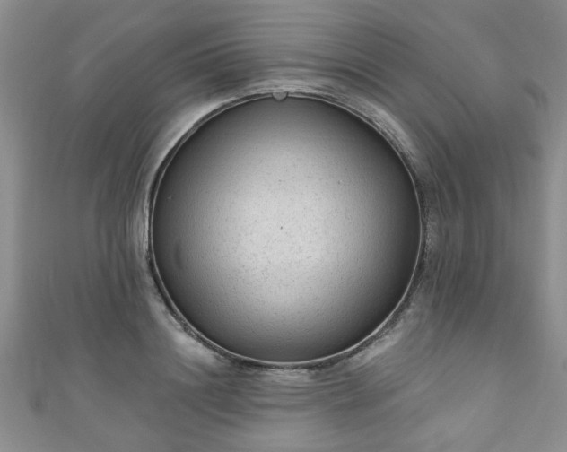 X0000110940844200906261259