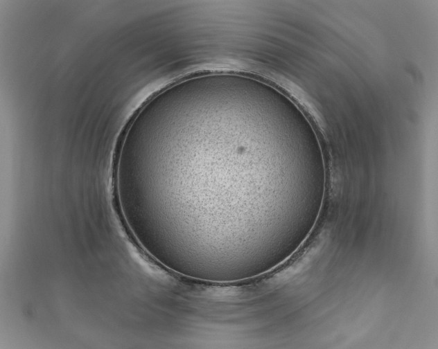 X0000110940845200906261259