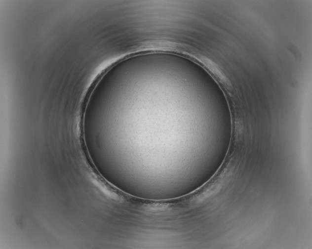 X0000110940846200906261259