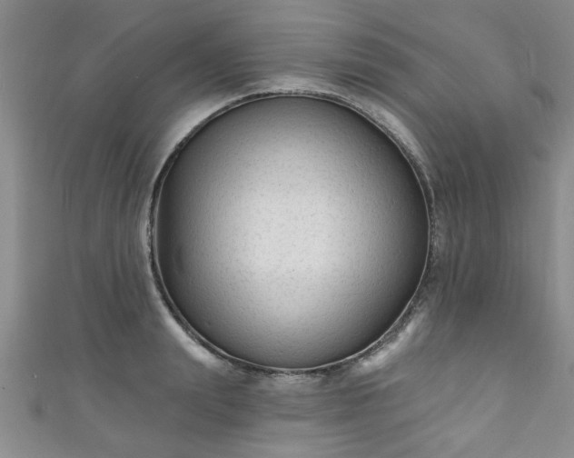 X0000110940847200906261259