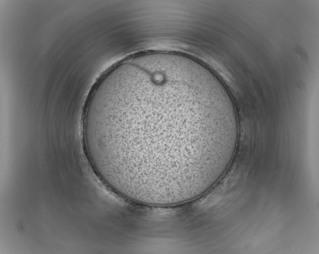 X0000110940848200906261259