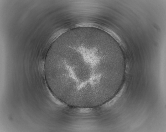 X0000110940849200906261259