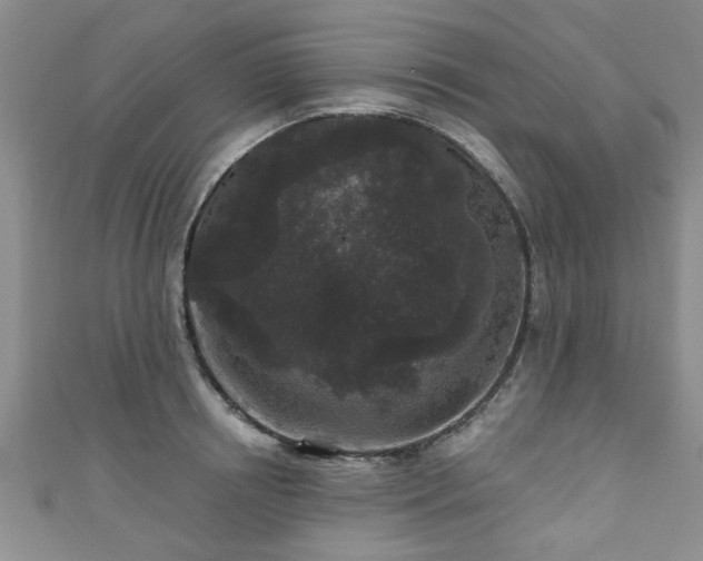 X0000110940850200906261259