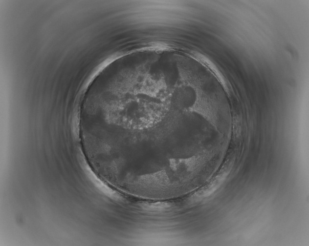 X0000110940851200906261259