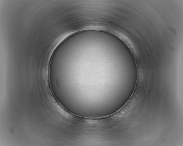 X0000110940852200906261259