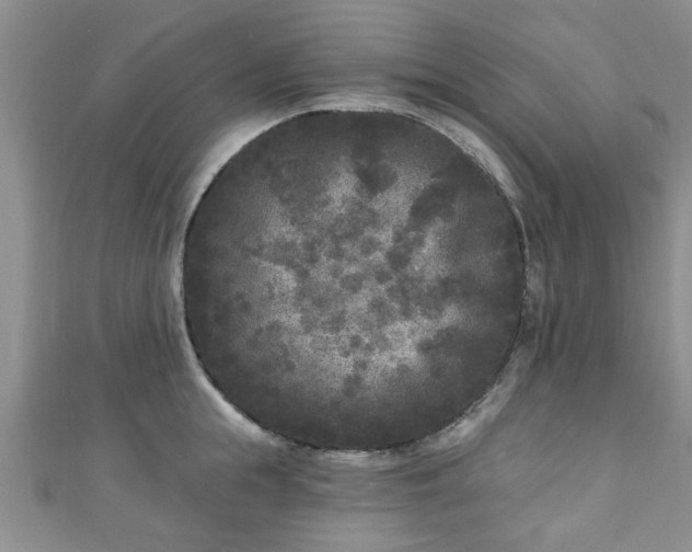 X0000110940855200906261259