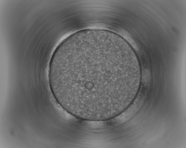 X0000110940856200906261259