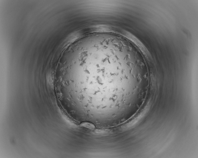 X0000110940857200906261259