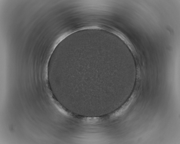 X0000110940858200906261259