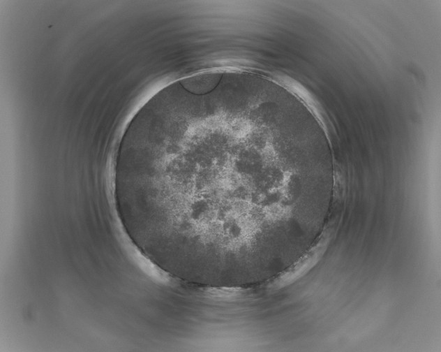 X0000110940859200906261259