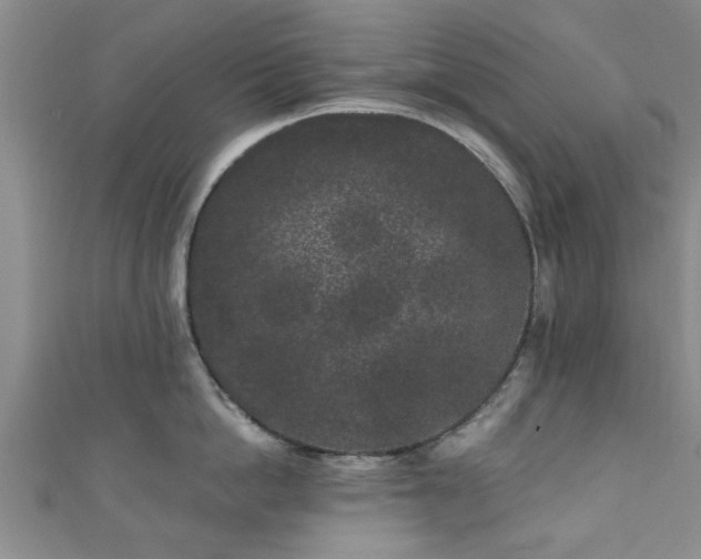 X0000110940862200906261259