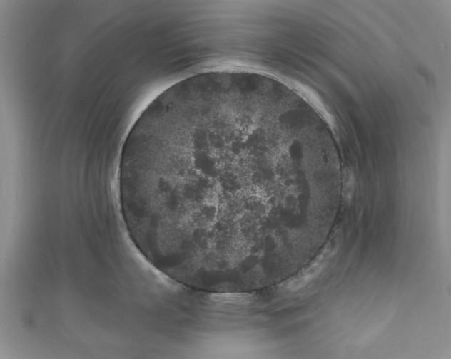 X0000110940863200906261259