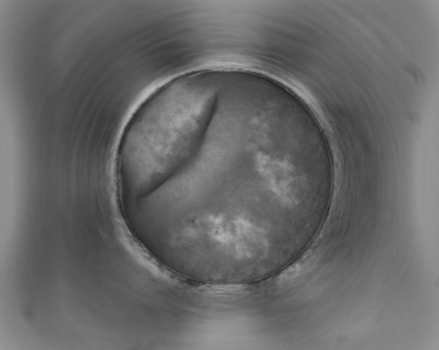 X0000110940864200906261259