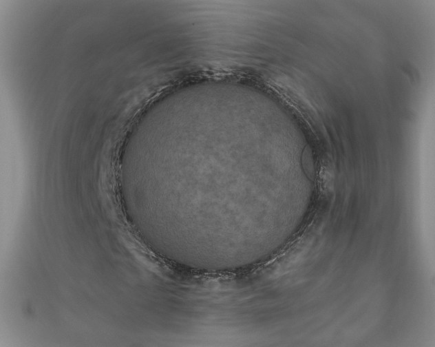 X0000110940865200906261258