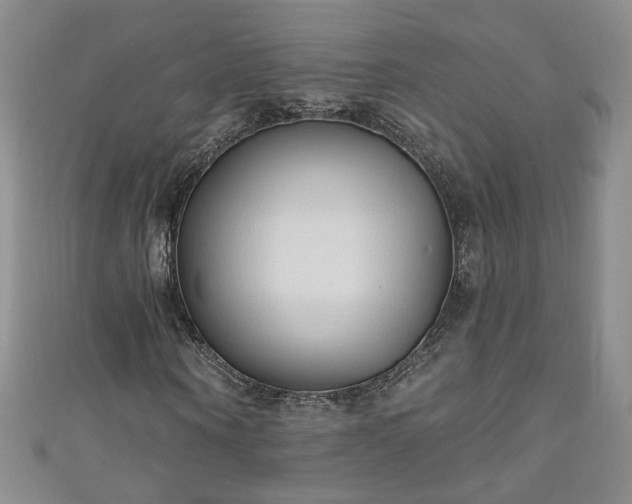 X0000110940866200906261258