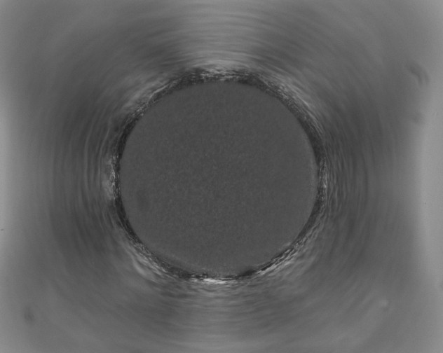 X0000110940868200906261258