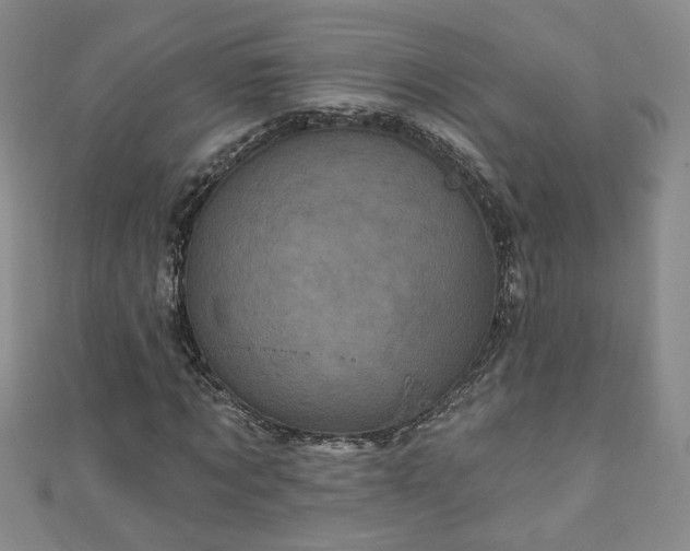 X0000110940869200906261258