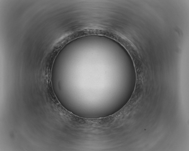 X0000110940870200906261258