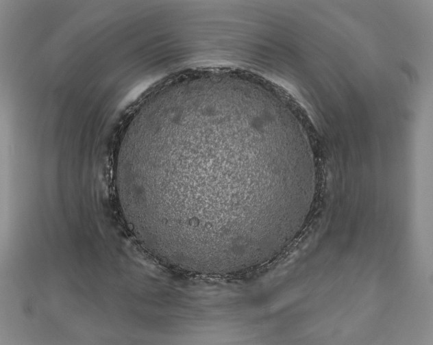 X0000110940871200906261258