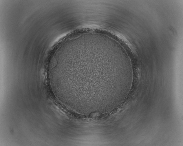 X0000110940872200906261258