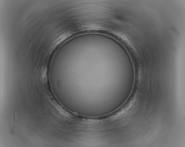 X0000110940873200906261258