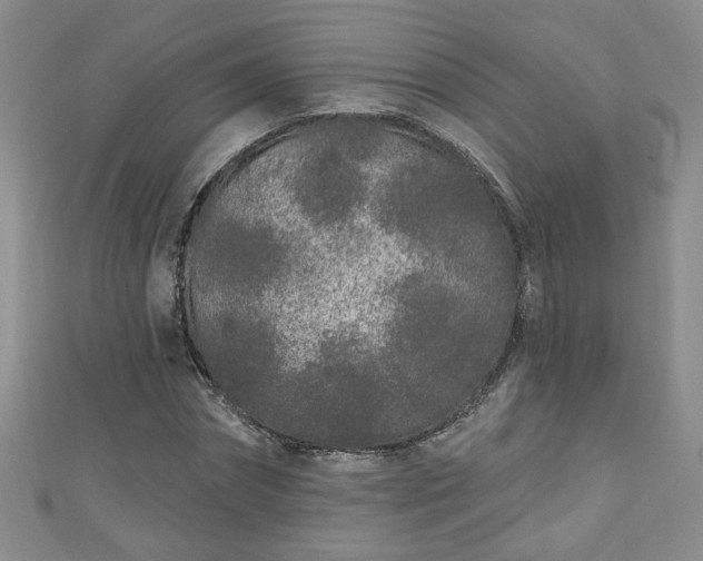 X0000110940874200906261258