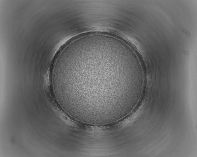 X0000110940875200906261258