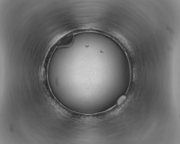 X0000110940876200906261258