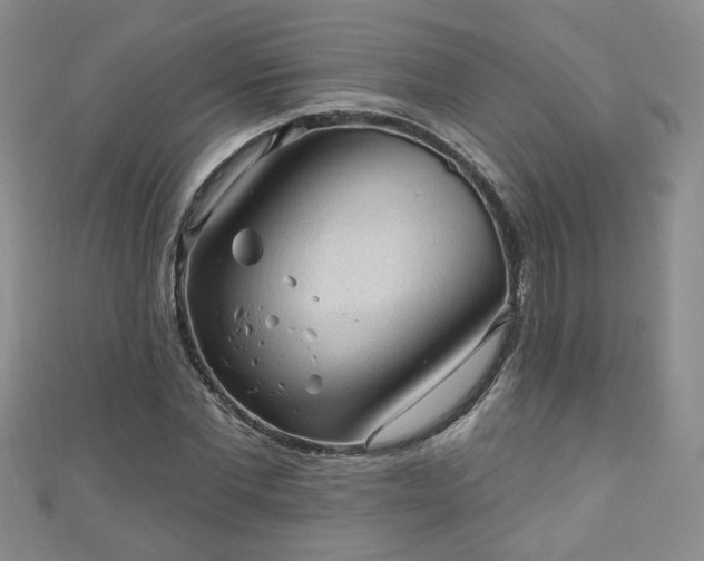 X0000110940877200906261258