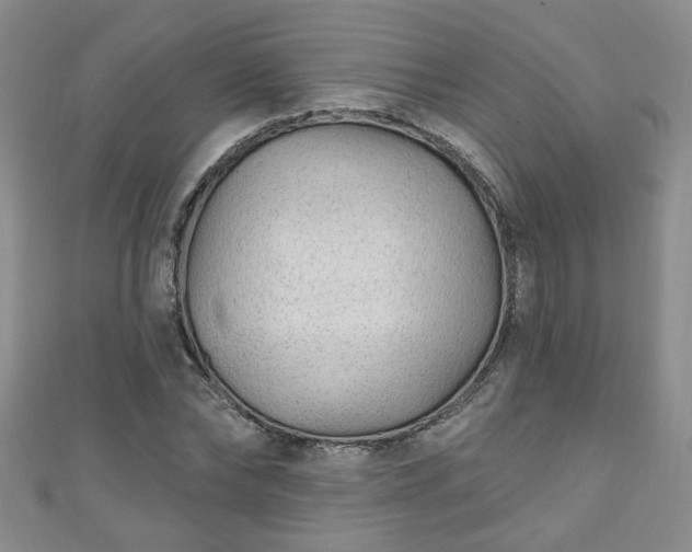 X0000110940878200906261258