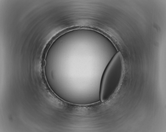 X0000110940880200906261258