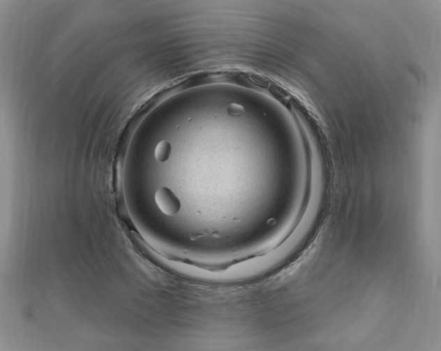 X0000110940881200906261258