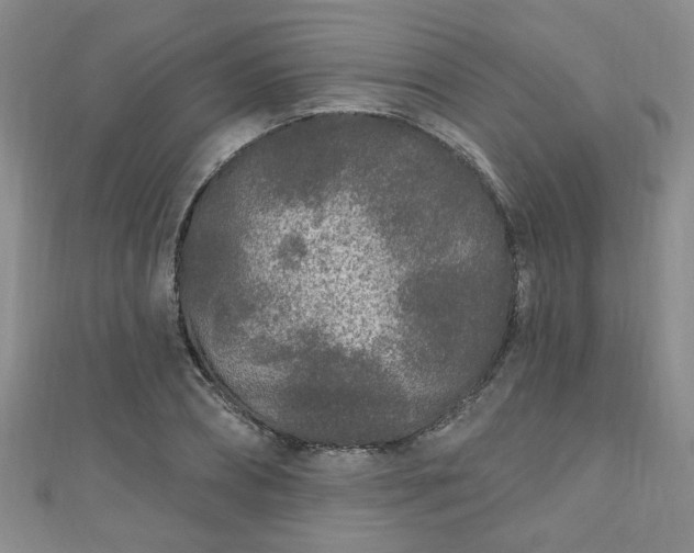 X0000110940882200906261258