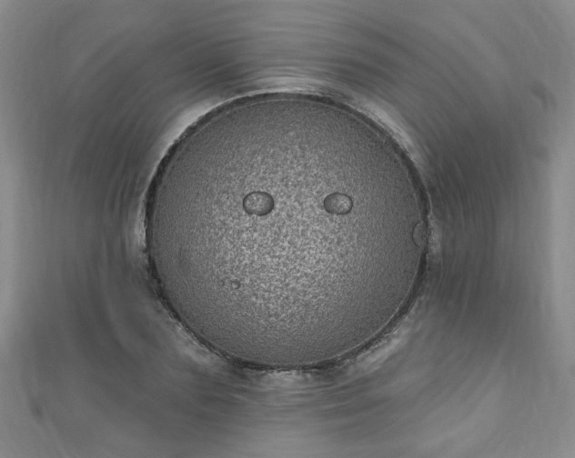 X0000110940883200906261258